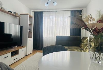 Apartament cu 3 camere Petre Dulfu - 7