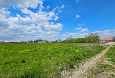 BRASOV - STUPINI, TEREN CONSTRUCTII, 850 MP! - 2