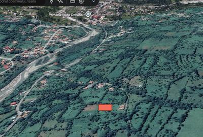 Teren retras panoramic cu panta lina, utilități si copaci mari - 16