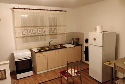 Gospodărie Premium P+1 Poienari (15 min Roman) | 260 m² - 6