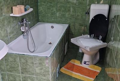 Casa individuala 100 mp cu curte 800 mp | Sura Mare - 8