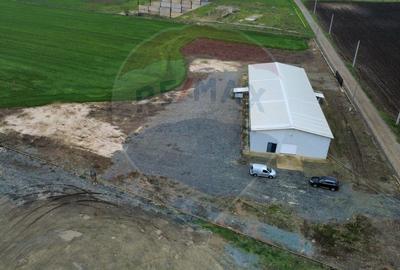 Hala frigorifica 500 mp de vanzare in Mihai Viteazu Constanta Tulcea - 1