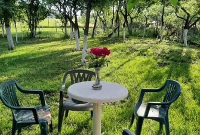 Casa de vanzare si teren 3600 mp Radomiresti - 5