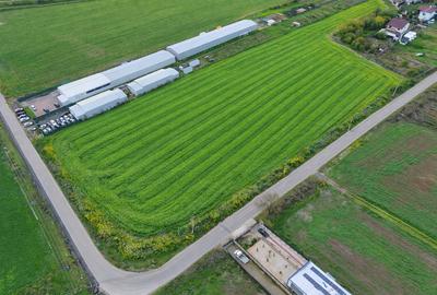 Teren agricol intravilan de 7811 mp, în Ciolpani