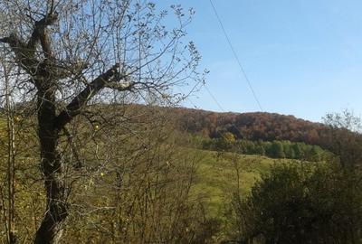 Teren intravilan in zona Varfuri, Dambovita - 2