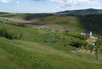 Teren intravilan 2307 mp în Salicea, zona premium, aproape de Cluj - 12