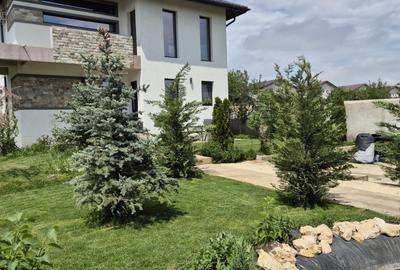 CASA LA CHEIE ! DIRECT PROPRIETAR - 25
