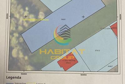 Teren Adunatii Copaceni 1500 mp Strada Ulmului Ideal Case-Vile - 2