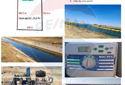 Teren agricol 13,1 ha + Hală 700 mp + Utilaje Agricole - Piscu, Galati - 27