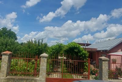 Snagov- Gruiu- Santul Floresti -Proprietate cu stil pentru oameni gospodari! - 35