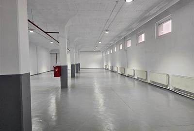 Spatii depozitare, productie, birouri, showroom-uri - de la 450 mp - 5