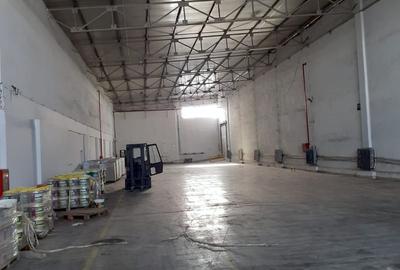 Hala industriala Frumusani - Buciumeni - 7