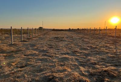 Teren Intravilan, Veterani, 500 Mp, Imprejmuit, Utilitati - 1