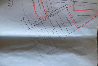 TEREN lac Caldarusani - 6