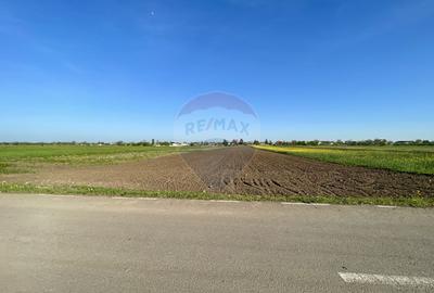 Teren Intravilan 6.220 mp | Strejnicu, Strada Livezilor - 1