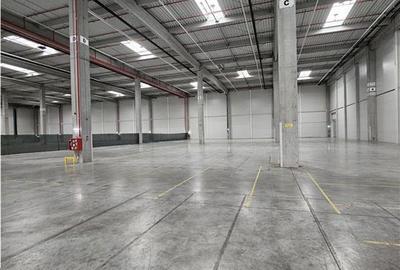 Spatiu Industrial - 4000 mp - Logistica - Productie - Depozitare - Distributie - 3