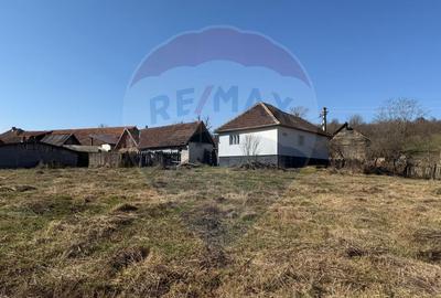 Casa in judetul Arad, Dumbravita - 10