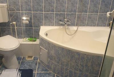Inchiriez apartament 2 camere, zona Vitan, centrala proprie, aer conditionat - 7