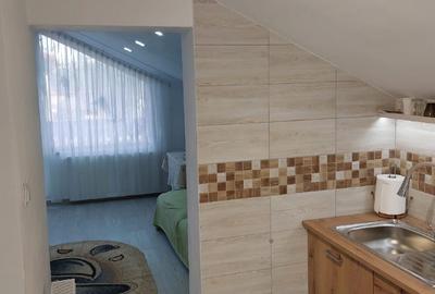 Închiriere apartament la casă - 15