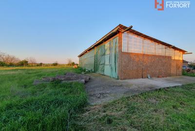 COMISION 0% Casa individuala cu 5 camere si teren de 3489 mp Percosova - Gataia - 26