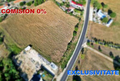 AZURA Imobiliare - Teren la DN7 langa Gaesti, Crangurile - Badulesti - 1