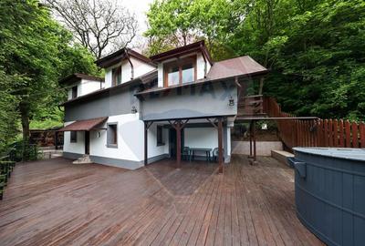 Casa in inima naturii - potential turistic - Centrul Istoric! - 1