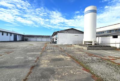 Proprietate industrială de vânzare – Târgu Jiu, Strada Ciocârlău - 7