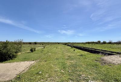 Teren intravilan pe partea cu Marea in zona Aerodrom TUZLA NIBIRU Costinesti - 20
