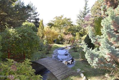 Topoloveni - Conacul Ion Mihalache, Domeniu pe 5 Hectare! - 8