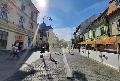 Spatiu comercial 114 mp utili 2 camere pe Bulevardul Balcescu din Sibiu - 2