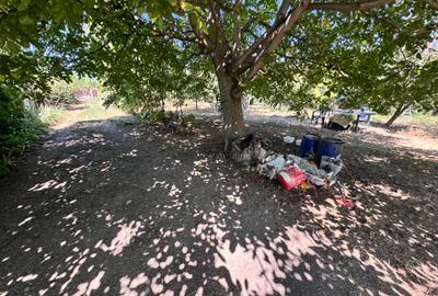 Casa individuala P+1+M amplasata pe un teren de 1200 mp. - 48