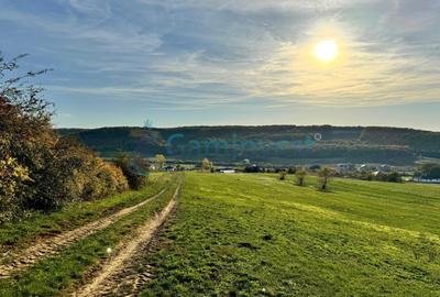 Teren de vanzare in Betfia, 5487 mp intravilan, Bihor - 5