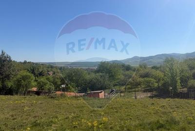 Teren extravilan 6.322 mp, împrejmuit, aproape de stadion Cugir, jud. - 10
