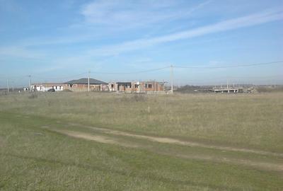 Bucovat-Timis,teren agricol intravilan,22.700 mp,deschidere 60 mp,15 euro/mp - 1