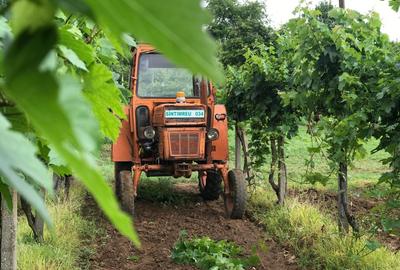 Investiție rară în Bihor - 8