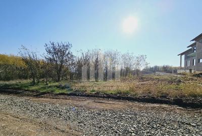 Teren intravilan | 1001 mp | 17 ml deschidere | Podei - 1