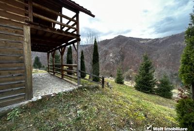 Oportunitate unica! 5ha + 2 cabane de vacanta in Valea Ierii - 8