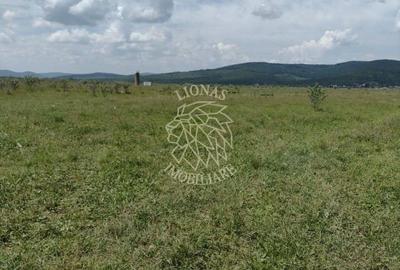 Teren 23700 mp (2,37 ha)-ideal investitie,cabana-Sesul Jelnei - 4