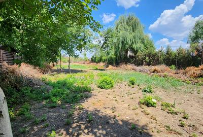 Magurele-Piscina Magurele,doar 1km primarie,parc,stadion! - 7