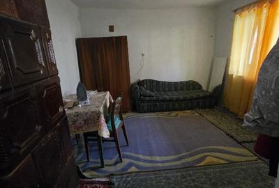 Aproape de Marginimea Sibiului, casa in inima unui parc - 8
