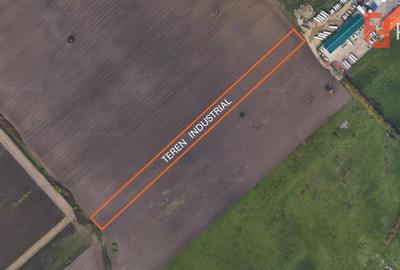 Teren Construcții extravilan de 9845 mp, în Șagului