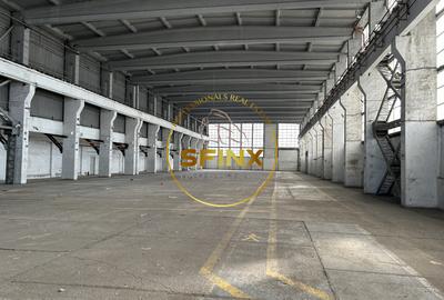 Spatiu industrial, clasa B, zona central vestica, Grozavesti - Regie - 3