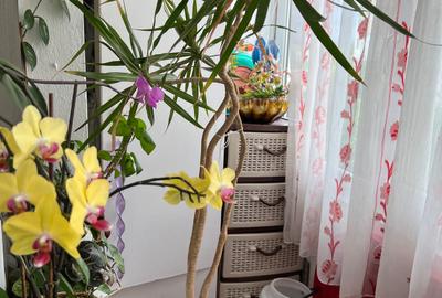 Apartament 2 camere decomandat, etaj 4 — Cartier Vest, zona Siliștei - 5