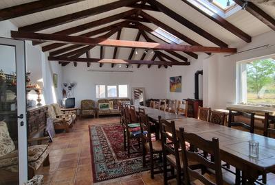 Casa Pensiune in Viile Satu Mare teren 1,63 ha, 11 camere, 10 bai - 5