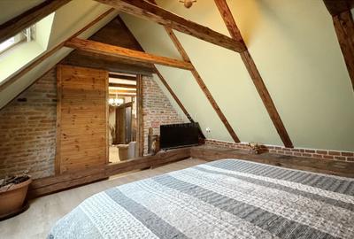 Investitie in Centrul Istoric: Apartament + Pivnita (Crama) - 11