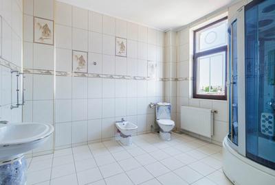 Locuință spectaculoasă cu potențial de business – 730 mp, sector 2 - 16