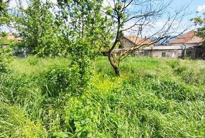 OCAZIE UNICA! Casa individuala cu 2108 mp teren,  in Dambul Rotund - 5