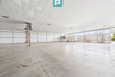 Spațiu depozitare 1.332 mp de închiriat în Ghiroda - 4