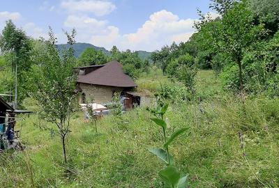 Proprietate pe Valea Vâlsanului – Cabane din lemn + Casă ecologică COB - 8