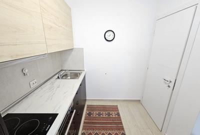 Apartament cu o camera de inchiriat, Hils Pallady - 14